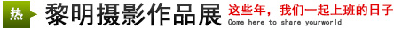 攝影展：這些年，我們一起上班的日子